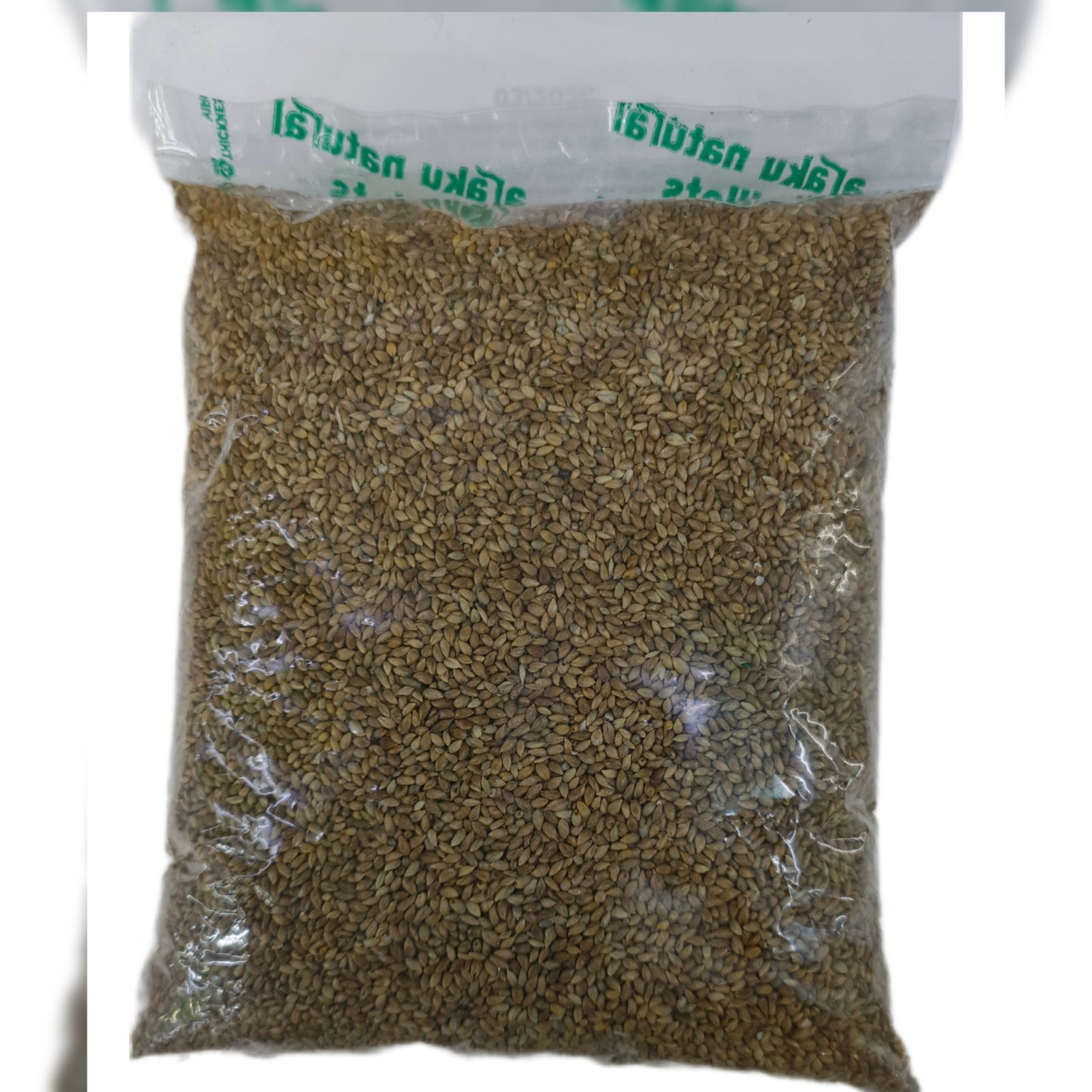 Sajjalu (Pearl Millet)